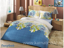 DESTINA �������.JPEG