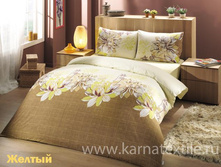 DESTINA ������.JPEG