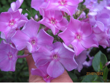 �������� ��� �������� �����