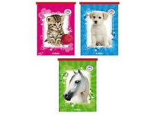 10089035 27� 2��.png