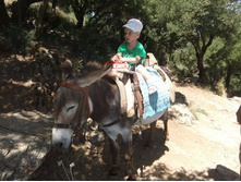 ����� ������ �����