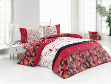 ARU �����.JPEG