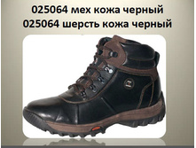 2950 ������