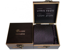 10 ������� BENINI � ���������� ��������.jpg