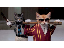 ��������