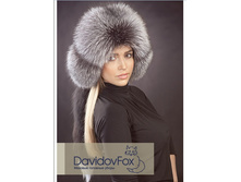 ������ � ������� ���������� ���� (����) - 4200