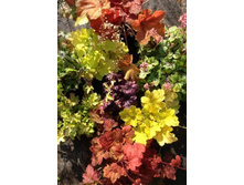 ������ ���� ��������� ������!