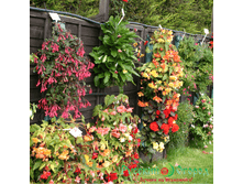 ��������� ���� 2.jpg