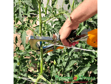 ������� 2.jpg