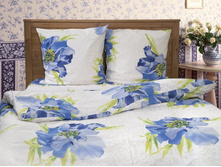 �-1010-01 ���������.jpg