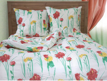 �-1006-01 �������.jpg