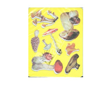 ��������� �����, ���� 18,47   ��� 5 ��