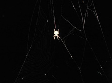 DSCF6415.JPG