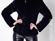 ����� (���: 501-2)