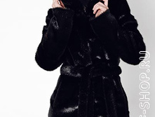 ���� � ��������� (���: 204-2)