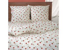 C-1000-01 ������� ���.jpg