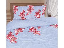 �-00118-01 ���������,.gif