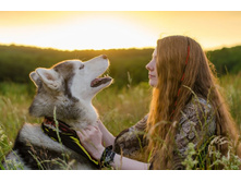 �� � ����� ����� ����� - �� � �.