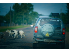 _DSC3847 - �����.jpg