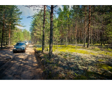 _DSC4012 - �����.jpg