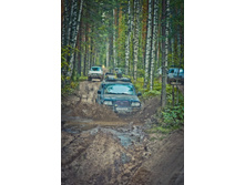 _DSC4155 - �����.jpg