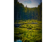 _DSC3849 - �����.jpg