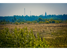 _DSC3719 - �����.jpg