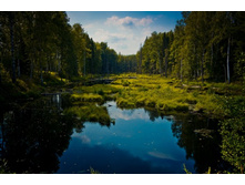 _DSC3851 - �����.jpg