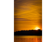 _DSC3913 - �����.jpg