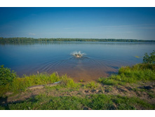 _DSC3979 - �����.jpg