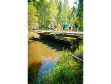 _DSC4021 - �����.jpg