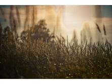 _DSC3603 - �����.jpg