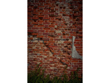 _DSC3790 - �����.jpg