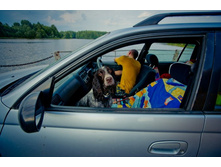 _DSC3885 - �����.jpg