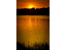 _DSC3915 - �����.jpg