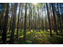 _DSC4078 - �����.jpg