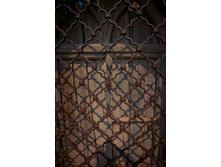 _DSC3806 - �����.jpg