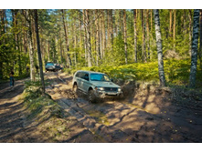 _DSC4115 - �����.jpg