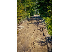 _DSC4173 - �����.jpg