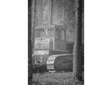 _DSC4200 - �����.jpg