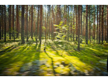 _DSC4008 - �����.jpg