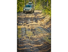 _DSC4124 - �����.jpg