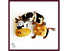 ������ ���� �������