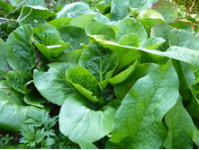 ����� 20�.