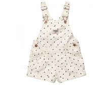 ����:	736	���.