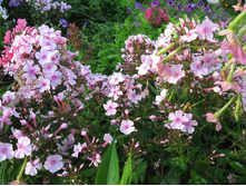 �������� ��� ���������,� ������ ����� �� �������