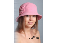 � 33 ���� 550 �