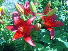 ���� 2013 ����� 012.JPG