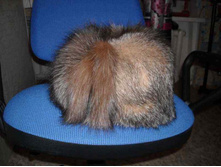 ������� �������� (��� �����).JPG