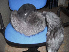 ������� ������� ������.����.JPG